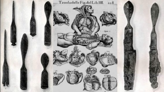 8d93ba8aa9e919b740f8